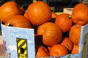 pumkins